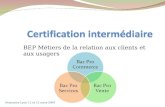 BEP Métiers de la relation aux clients et aux usagers Bac Pro Commerce Bac Pro Vente Bac Pro Services Séminaire Lyon 12 et 13 mars 2009.