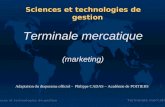 Sciences et technologies de gestion Terminale mercatique Terminale mercatique (marketing) Sciences et technologies de gestion Adaptation du diaporama.