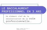 DAFPIC- GROUPE IEN ET/EG - Académie de Poitiers LE BACCALAUREAT PROFESSIONNEL EN 3 ANS Un élément clef de la revalorisation de la voie professionnelle.