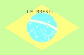 LE BRESIL. Géographie Généralités Population: 188 078 230 habitants Capitale: Brasilia Langue: Portugais Monnaie: Réal (1 = 3 R$) Superficie: