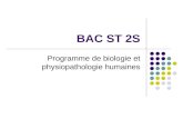 BAC ST 2S Programme de biologie et physiopathologie humaines.