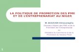 LA POLITIQUE DE PROMOTION DES PME ET DE LENTREPRENARIAT AU NIGER M. BOUKARI Almoustapha Directeur Adjoint des PME et de la Promotion de lEntreprenariat.