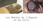 Les Momies de lÉgypte et du Chili. Les Mommies de lÉgypte et du Chili Vous savez maintenant que les Égyptiens ont mommifié leurs pharaons (qui étaient.