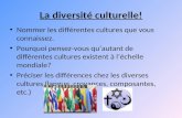 La diversité culturelle! Nommer les différentes cultures que vous connaissez. Pourquoi pensez-vous quautant de différentes cultures existent à léchelle.