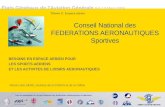 États Généraux de lAviation Générale 9 & 10 Mars 2006 Conseil National des FEDERATIONS AERONAUTIQUES Sportives BESOINS EN ESPACE AERIEN POUR LES SPORTS.
