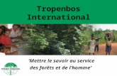 Tropenbos International Mettre le savoir au service des forêts et de lhomme.