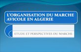 LORGANISATION DU MARCHE AVICOLE EN ALGERIE ETUDE ET PERSPECTIVES DU MARCHE.