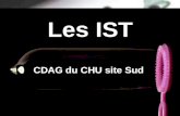 Les IST CDAG du CHU site Sud. Quelques définitions.