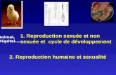 1. Reproduction sexuée et non sexuée et cycle de développement 2. Reproduction humaine et sexualité Animal, Végétal…..