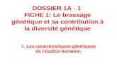 DOSSIER 1A - 1 FICHE 1: Le brassage génétique et sa contribution à la diversité génétique 1. Les caractéristiques génétiques de lespèce humaine: