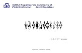Expertise judiciaire (2009) Institut Supérieur de Commerce et dAdministration des Entreprises C.E.C 3 ème Année.