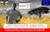 Défis de la Mise en Œuvre du FBR : Montage Institutionnel Expérience du Projet santé 9eme FED en République centrafricaine Présenté par : Dr Malam Issa.