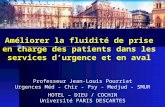 Améliorer la fluidité de prise en charge des patients dans les services durgence et en aval Professeur Jean-Louis Pourriat Urgences Méd - Chir - Psy -