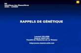 RAPPELS DE GÉNÉTIQUE Laurent VILLARD Inserm Unité 491 Faculté de Médecine de La Timone  M1 Génétique des Mammifères 2006 - LUMINY.