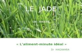 LE JADE DE NIKKEN « Laliment-minute idéal » Dr HAGIWARA.