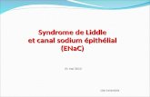 Syndrome de Liddle et canal sodium épithélial (ENaC) Lise Lelandais 31 mai 2012.