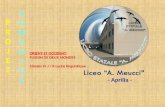 PROJETPROJET COMENIUSCOMENIUS ORIENT ET OCCIDENT: FUSION DE DEUX MONDES Classes IV J / K Lycée linguistique - Aprilia -
