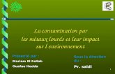 1 La contamination par les métaux lourds et leur impact sur l environnement Sous la direction du : Pr. saidi Présenté par : Mariam El Fellah Ouafae Hedda.
