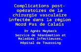 Complications post-opératoires de la chirurgie vasculaire infectée dans la région Nord Pas de Calais Dr Agnès Meybeck Service de Réanimation et Maladies.