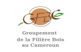 Groupement de la Filière Bois au Cameroun. Le GFBC est une association née en 1998 de la fusion de 2 syndicats: Le Syndicat des Producteurs et Exportateurs.