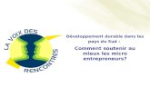 1 Développement durable dans les pays du Sud : Comment soutenir au mieux les micro entrepreneurs?