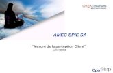 AMEC SPIE SA "Mesure de la perception Client" juillet 2003.