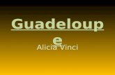 Guadeloupe Alicia Vinci. Jhabite en Guadeloupe. Guadeloupe est a lóuest de la France.