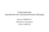 Sclérodermie Syndrome de chevauchement (Sharp) Bruno TRIBOUT Médecine Vasculaire CHU AMIENS.
