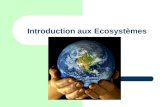 Introduction aux Ecosystèmes. Écologie Lécologie est létude des interrelations entre les facteurs biotiques et abiotiques.