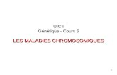 1 UIC I Génétique - Cours 6 LES MALADIES CHROMOSOMIQUES.