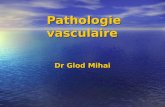 Pathologie vasculaire Dr Glod Mihai. Oedème Lœdème est une augmentation de la quantité d'eau dans les espaces extra-vasculaires. Aspect macroscopique.