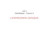 UIC I Génétique - Cours 4 UIC I Génétique - Cours 4 LEXPRESSION GENIQUE