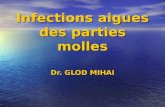Infections aigues des parties molles Dr. GLOD MIHAI.