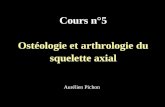 Cours n°5 Ostéologie et arthrologie du squelette axial Aurélien Pichon.