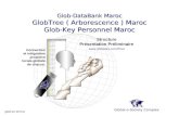 Global e-Society Complex Glob-DataBank Maroc GlobTree ( Arborescence ) Maroc Glob-Key Personnel Maroc Glob-DataBank Maroc GlobTree ( Arborescence ) Maroc