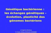 Génétique bactérienne : les échanges génétiques – évolution, plasticité des génomes bactériens L3 Agents infectieux Pr. Marie-Hélène NICOLAS-CHANOINE.