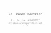 Le monde bactrien Pr. Antoine ANDREMONT Antoine.andremont@bch.aphp.fr.