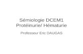 Sémiologie DCEM1 Protéinurie/ Hématurie Professeur Eric DAUGAS.