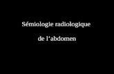 Sémiologie radiologique de labdomen Abdomen sans préparation Rayons X : – projection plane (2D) du volume du corps (3D) –Statique / dynamique Contraste.
