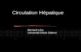 Circulation Hépatique Bernard Lévy Université Denis Diderot.