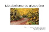 Métabolisme du glycogène Cours 1 ière année Pharmacie 2012-2013 Biochimie métabolique Pr Sanae Bouhsain.