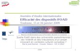 Efficacité des dispositifs – Toulouse – 15 janvier 20091 Réseau interUniversitaire pour la Formation Ouverte et à Distance Quelle FoàD dans des universités.