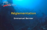 1 Réglementation Emmanuel Bernier. 2 Plan du cours Le rôle de l'État et des organismes Le rôle de l'État et des organismes Passerelle MF1 BEES1 Passerelle.