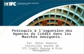 Prérequis à lexpansion des Agences de Crédit dans les Marchés émergents. Par Peter Sheerin Conseiller auprès de IFC Credit Bureau & Risk Management.
