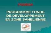 FODESA PROGRAMME FONDS DE DEVELOPPEMENT EN ZONE SAHELIENNE.