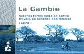 La Gambie Accords terres rizicoles contre travail, au bénéfice des femmes LADEP M. John S. Fye.