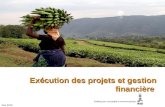 Title of presentation/theme Exécution des projets et gestion financière Dec 2010.