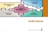Audit interne Dec 2010. Introduction L es événements récents, et notamment les crises financières mondiales, ont mis en évidence la nécessité dun audit.