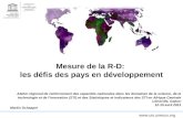 Www.uis.unesco.org Mesure de la R-D: les défis des pays en développement Atelier régional de renforcement des capacités nationales dans les domaines de.