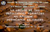 1 La cécité et les déficiences visuelles en Afrique : prévalence et causes P. Huguet Organisation mondiale de la Santé Atelier de formation SightFirst.